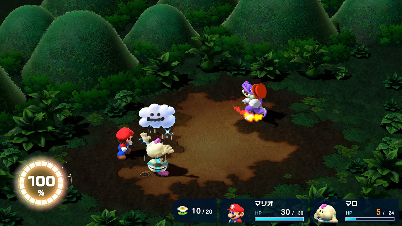 回復技が使える優秀なマロ