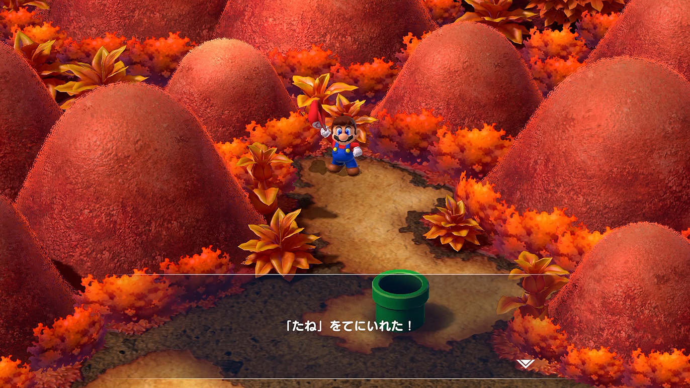 たねを忘れずに