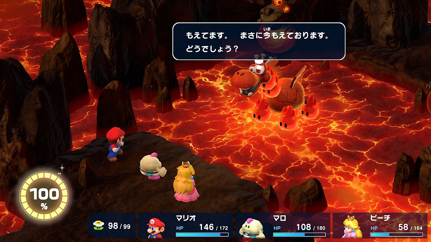 どうでしょうと言われても…